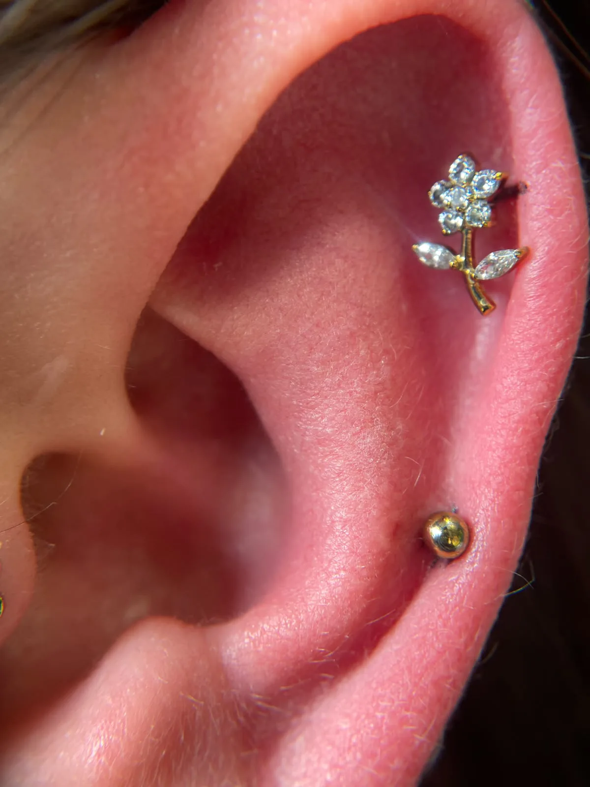 Piercing-Arbeit von Anna bei Most Wanted Berlin – Galerieaufnahme 32