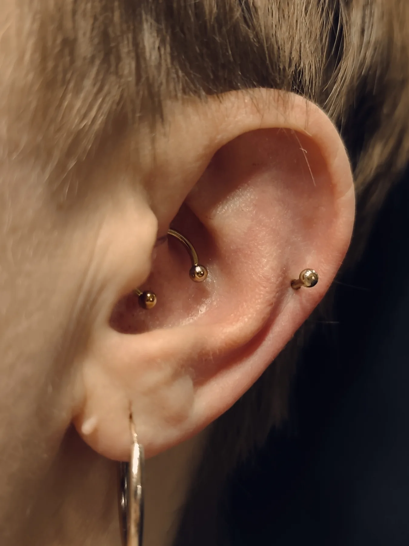 Piercing-Arbeit von Jasmin bei Most Wanted Tattoo & Piercing Berlin – Beispiel 4