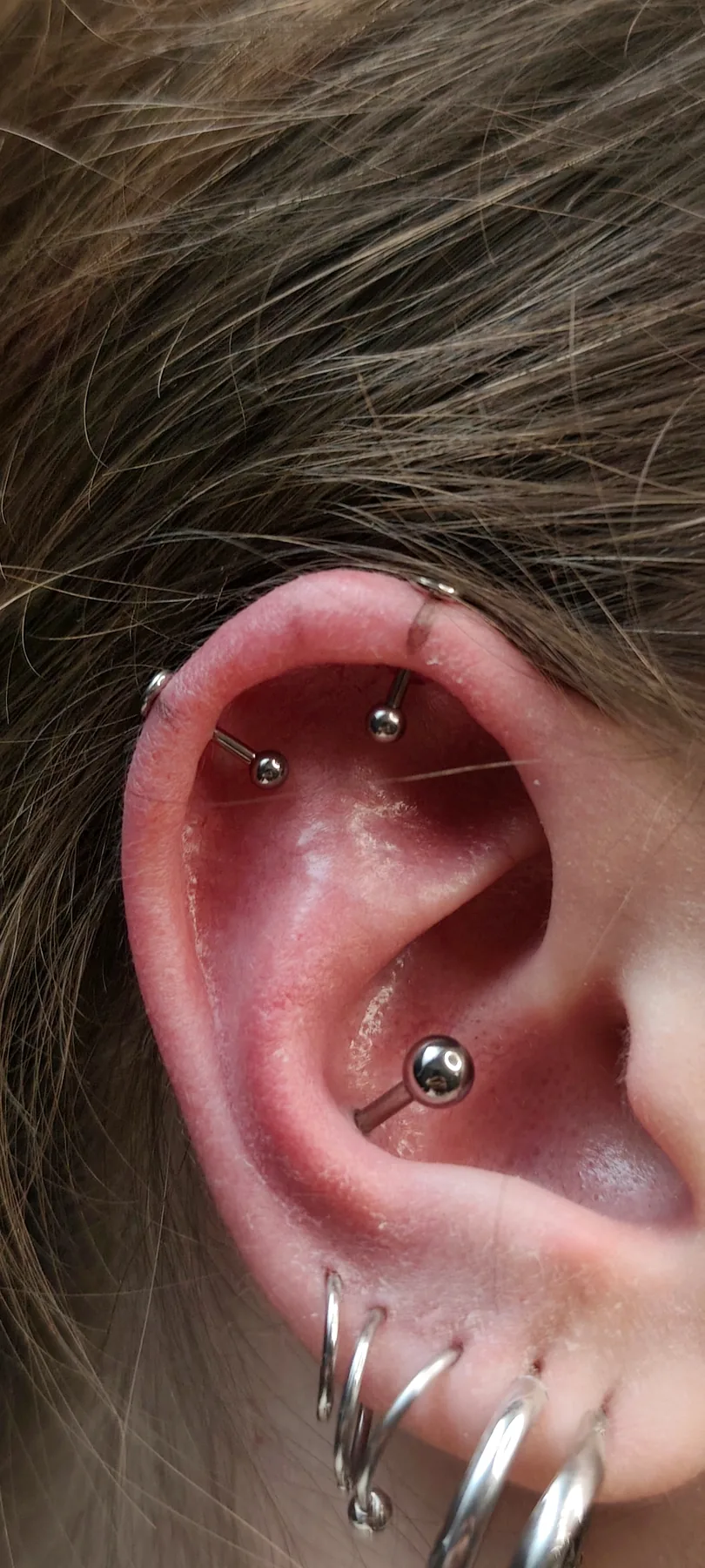 Piercing-Arbeit von Jasmin bei Most Wanted Tattoo & Piercing Berlin – Beispiel 9