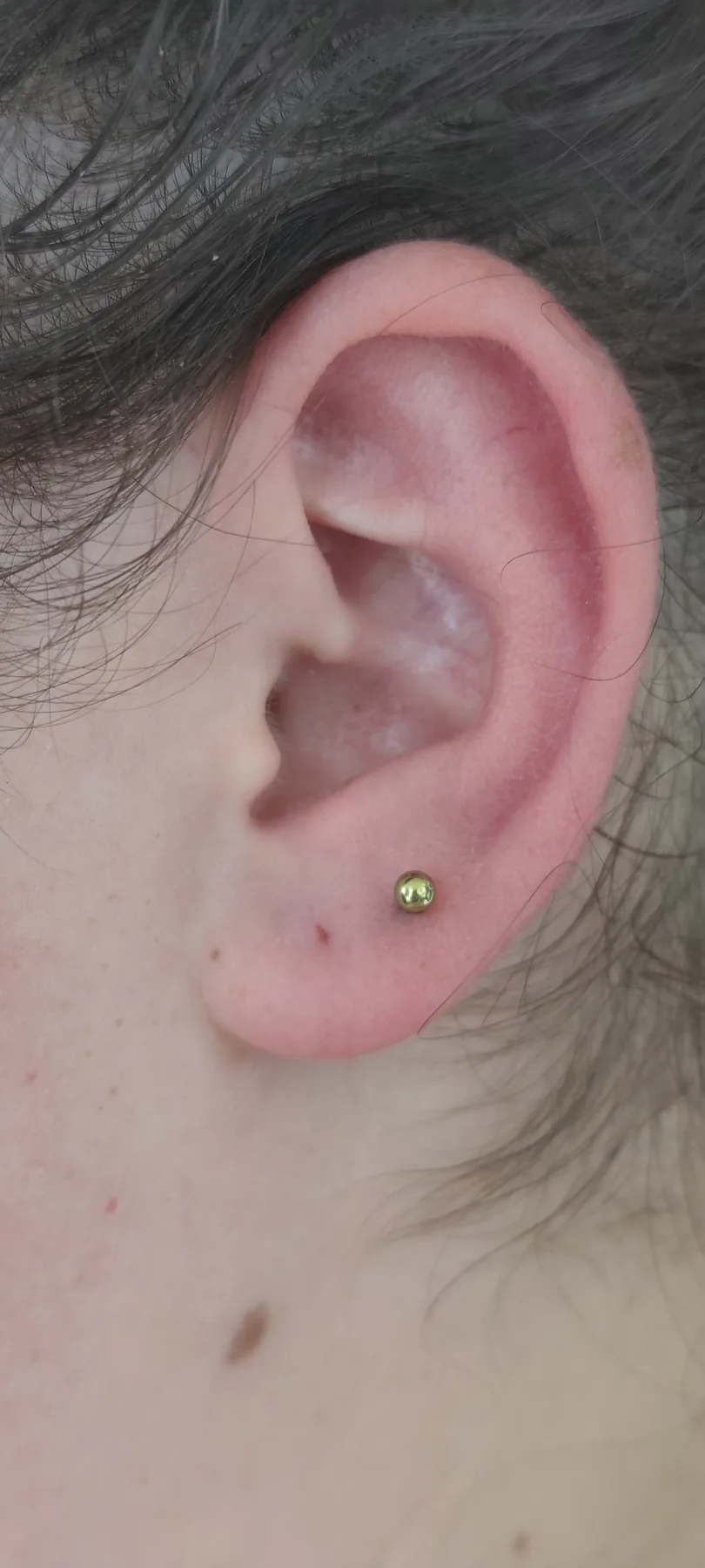 Piercing-Arbeit von Jasmin bei Most Wanted Tattoo & Piercing Berlin – Beispiel 11