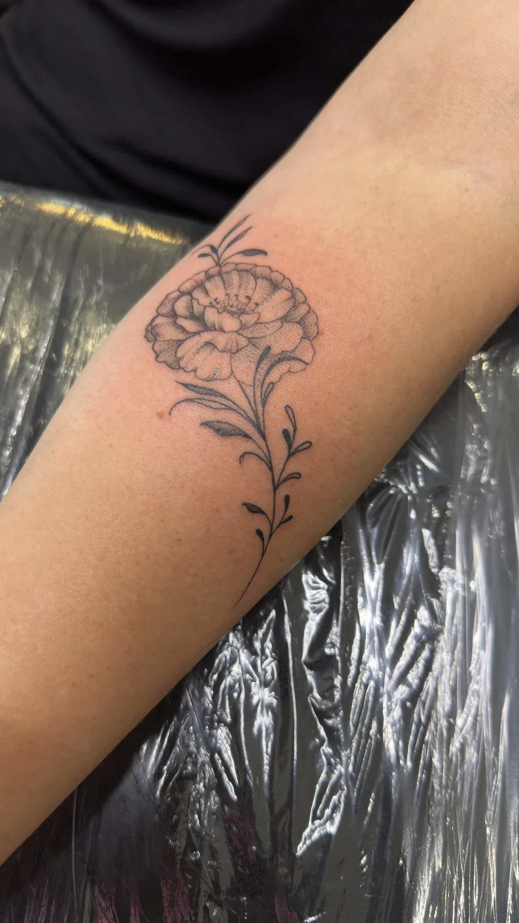 Tattoo Arbeit von Manolo bei Most Wanted Berlin – Motiv 19
