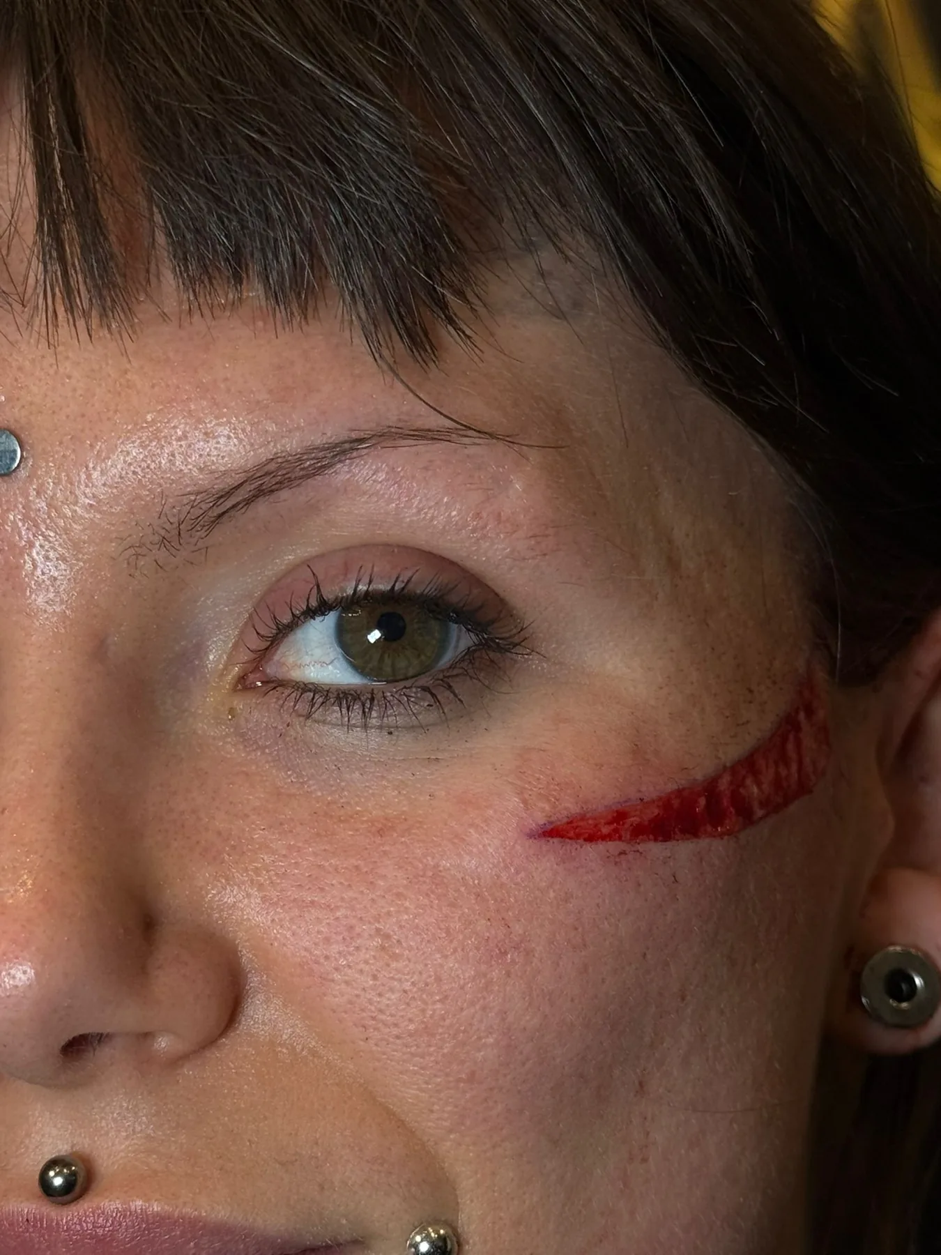 Piercing-Arbeit von Patrick bei Most Wanted Berlin – Beispiel 37