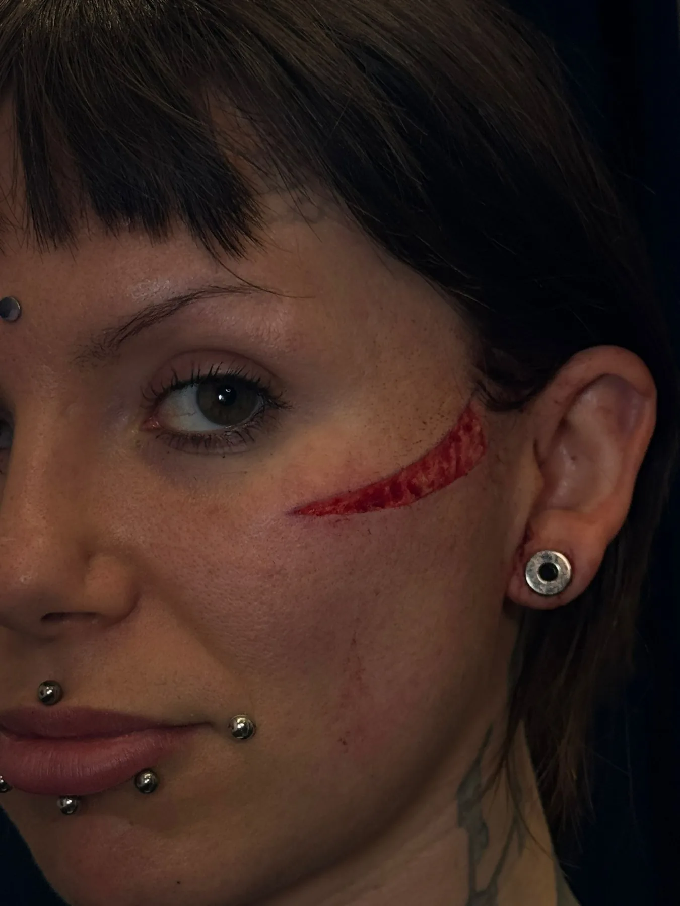 Piercing-Arbeit von Patrick bei Most Wanted Berlin – Beispiel 41