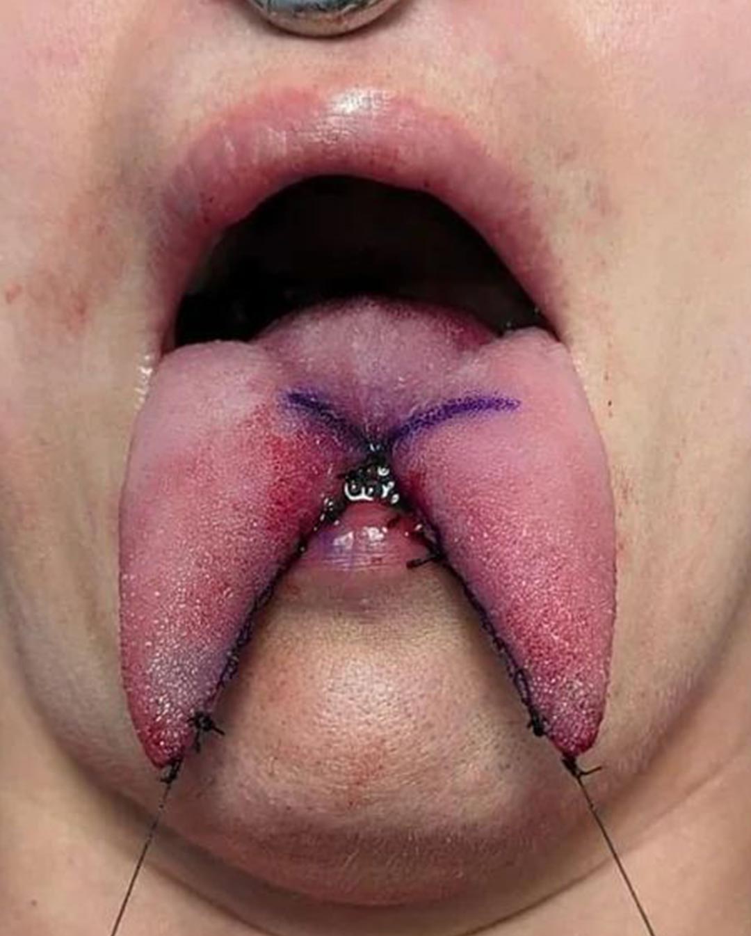 Piercing-Arbeit von Patrick bei Most Wanted Berlin – Galeriebeispiel 4