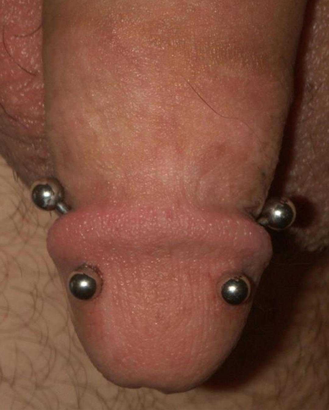 Piercing-Arbeit von Patrick bei Most Wanted Berlin – Galeriebeispiel 19