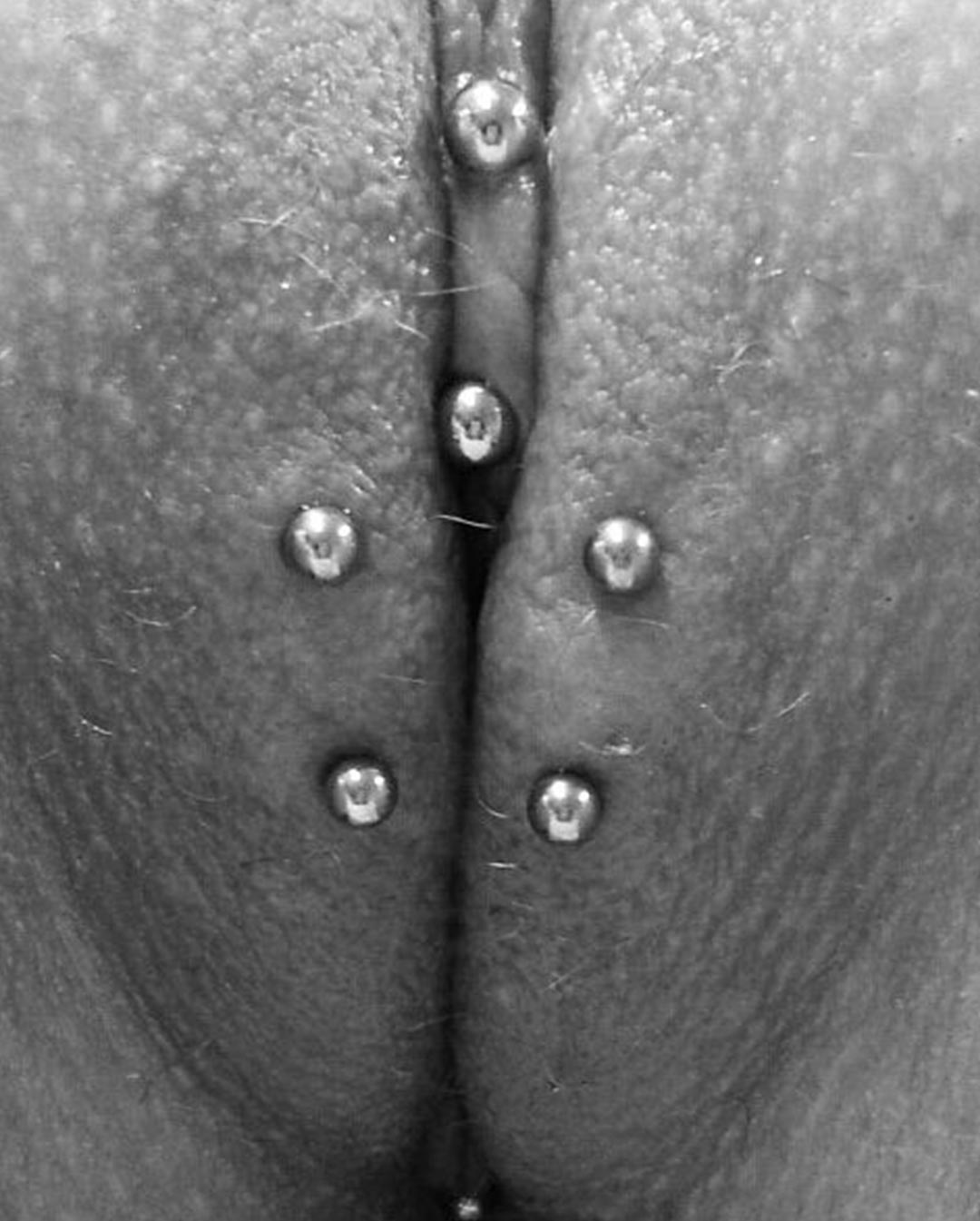 Piercing-Arbeit von Patrick bei Most Wanted Berlin – Galeriebeispiel 22