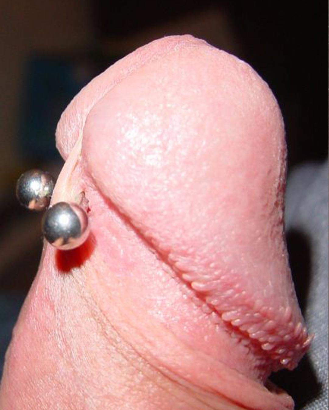 Piercing-Arbeit von Patrick bei Most Wanted Berlin – Galeriebeispiel 23