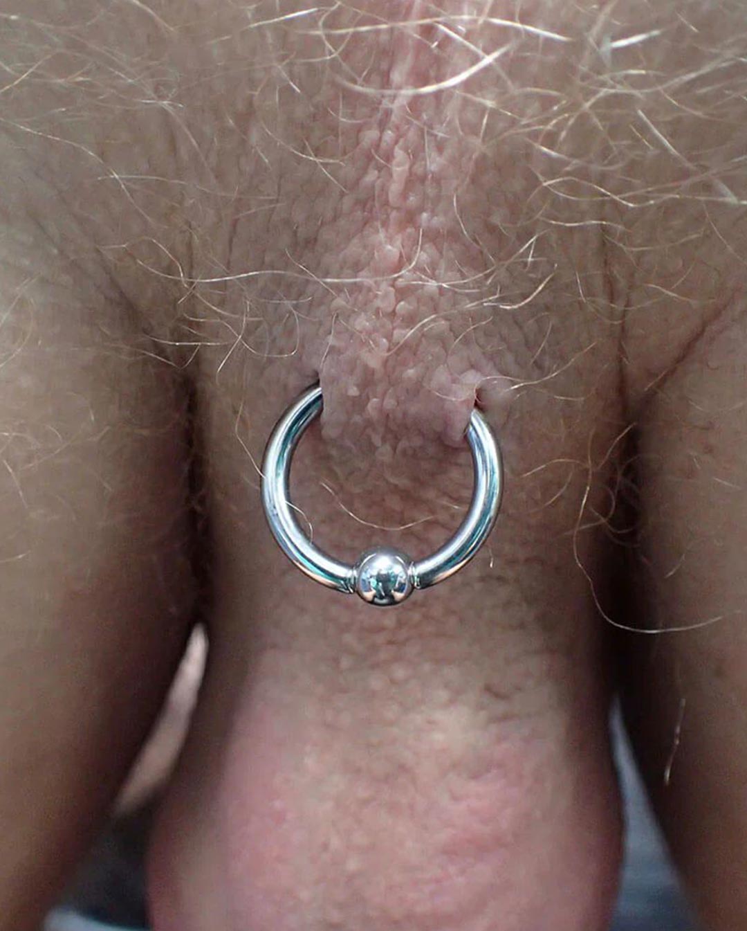 Piercing-Arbeit von Patrick bei Most Wanted Berlin – Galeriebeispiel 24